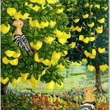 31-Lemontrees with Hoopoes